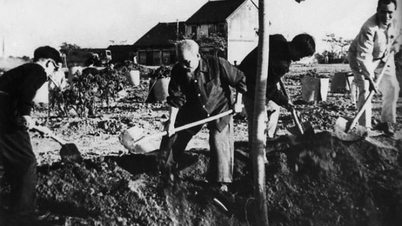 Warum wird der 11. Januar mit dem Baumpflanzfest von Präsident Ho Chi Minh in Verbindung gebracht?