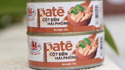 Серія «гарячих» новин про компанію Ha Long Canned Food Company.