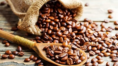 Kaffepriser i dag, 11. januar 2026: Ned med opptil 1000 VND denne uken.