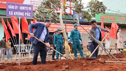 Commune de Krong Pac : Plus de 1 600 arbres plantés en réponse à la Journée verte du Vietnam