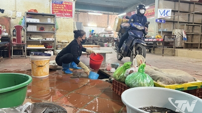 Pollution sous le marché thaïlandais : une solution globale est nécessaire.