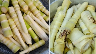 Coisas a ter em mente para evitar intoxicação alimentar ao consumir brotos de bambu.