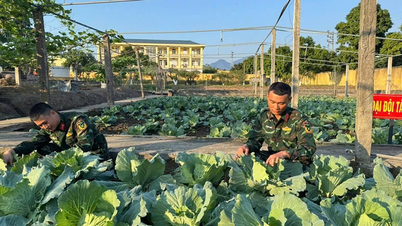 De effectiviteit van het model voor het verhogen van de productie bij Brigade 405 (Militaire Regio 3)