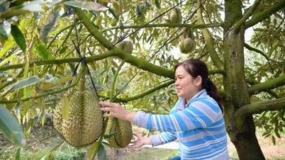 آزادسازی سرمایه اعتباری برای توسعه کشاورزی، مناطق روستایی و کشاورزان.