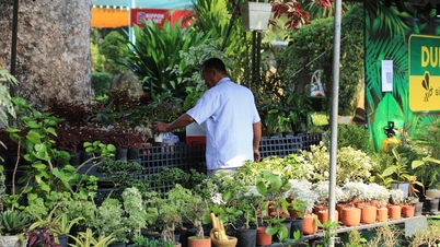 Die Zierpflanzenausstellung „Laut den Geschichten der Blätter und Blumen“ lockt Besucher in den Zoo von Saigon.