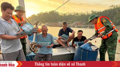 अवैध, अनियमित और अनियमित (IUU) मछली पकड़ने के खिलाफ लड़ाई में एक उज्ज्वल पहलू।