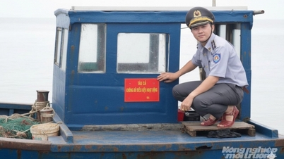An Giang xóa đăng ký 262 tàu cá không đủ điều kiện hoạt động