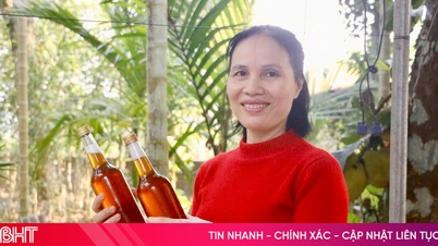 ฤดูตรุษจีนที่อุดมสมบูรณ์สำหรับผู้เลี้ยงผึ้งในจังหวัดฮาติงห์
