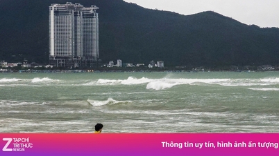 ニャチャン湾管理委員会が警告を発令。