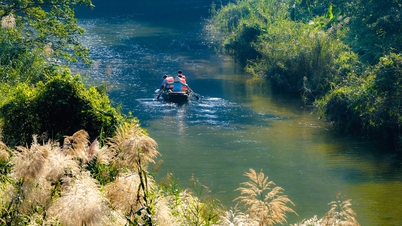 Trang An verzaubert die Herzen in der Jahreszeit, wenn das Schilf blüht.