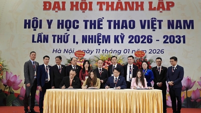 Ra mắt Hội Y học thể thao Việt Nam