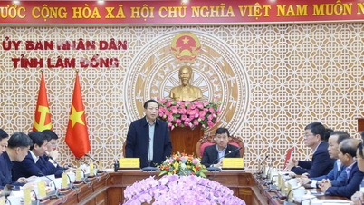 El Ministro de Construcción, Tran Hong Minh, trabaja con la provincia de Lam Dong.