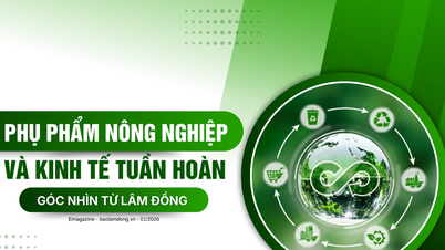 Hasil sampingan pertanian dan ekonomi kitaran – Perspektif daripada Lam Dong.
