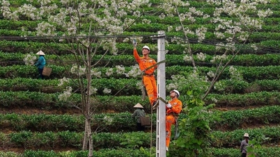 Lời chào năm mới từ những người giữ dòng điện miền Bắc
