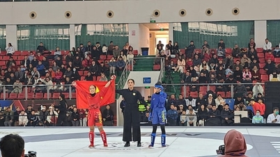 Võ sĩ Lò Thị Phung giành Huy chương vàng Giải vô địch MMA châu Á 2026