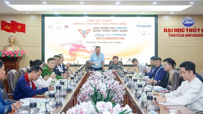 Vòng loại phía bắc đã sẵn sàng bùng nổ