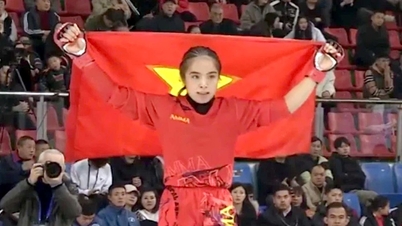 Η μαχήτρια Lo Thi Phung νίκησε την αντίπαλό της σε 51 δευτερόλεπτα, κατακτώντας το χρυσό μετάλλιο στις ασιατικές MMA.