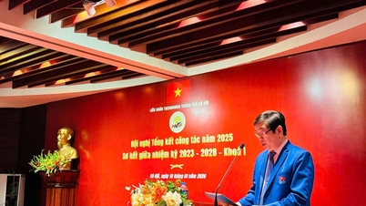 Hanoi Taekwondo accelererar på medellång sikt, med sikte på professionalisering.