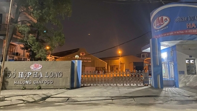 Producția a fost suspendată temporar la fabrica de conserve Ha Long - Hai Phong.