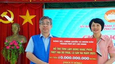 TP. Hồ Chí Minh hỗ trợ Lâm Đồng 10 tỷ đồng khắc phục hậu quả mưa lũ