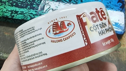 A fábrica de conservas Ha Long suspendeu temporariamente a produção após a prisão de seu diretor-geral.
