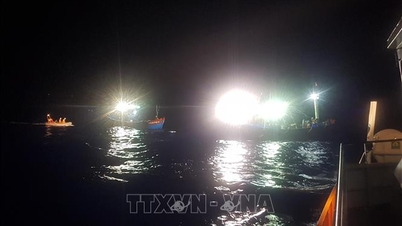 Quang Ngai: Nelayan yang terapung di laut diselamatkan tepat pada waktunya.