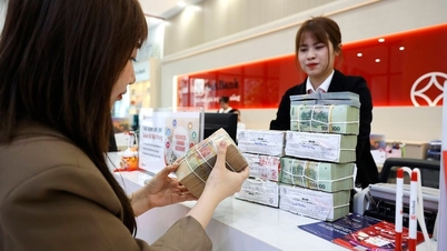 Dự kiến tăng trưởng tín dụng 15% năm 2026 , kiểm soát lĩnh vực rủi ro