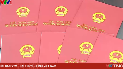 ควรทำอย่างไรหากทำใบรับรองกรรมสิทธิ์ที่ดินหายก่อนการโอนกรรมสิทธิ์?