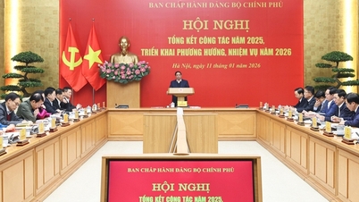Sukan dipromosikan, dan industri budaya dan hiburan dibangunkan bersama-sama dengan pelancongan.