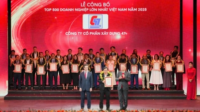 47 numaralı İnşaat Şirketi, Vietnam'ın en büyük 500 işletmesi arasında yer almaktadır.