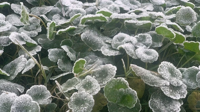 Prognoza meteo pentru 12 ianuarie: Nordul Vietnamului va experimenta frig intens, cu risc de îngheț în zonele muntoase.