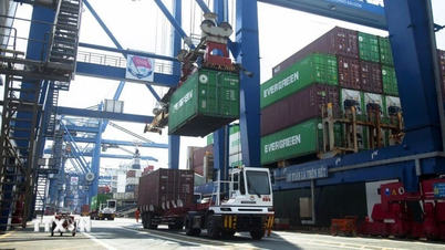 Vietnamul ocupă o poziție unică în lanțul de producție global.