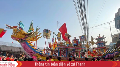 Odkryj kulturę morską prowincji Thanh Hoa.
