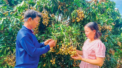 Cooperative societies play a crucial role as a "support system" for farmers.