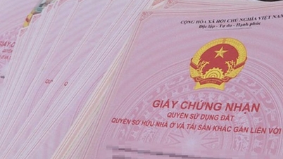 Không có giấy tờ giao đất, cấp Giấy chứng nhận theo điều khoản nào?