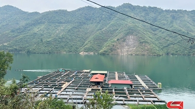 Making a fortune from cage fish farming on the lake.