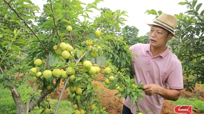 Unleashing potential to boost economic development.