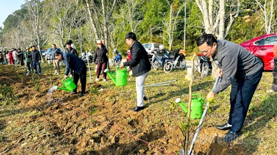 เทศบาลตำบลหงไทยจัดพิธีเปิดงานวันเขียวแห่งชาติเวียดนาม 2026