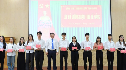 조기 인재 개발, 체계적인 훈련, 그리고 지속 가능한 효과.