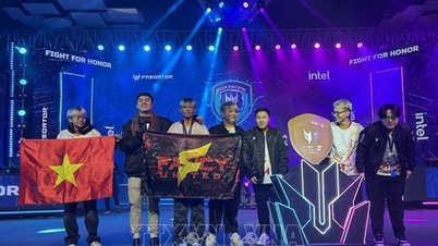Việt Nam khẳng định vị thế trên đấu trường eSports quốc tế