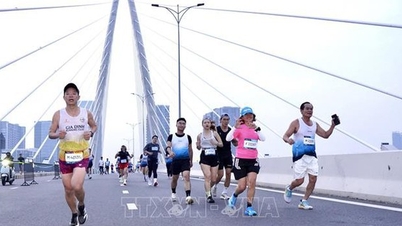 Gần 11.000 vận động viên tham gia Giải Marathon Thành phố Hồ Chí Minh lần thứ 13