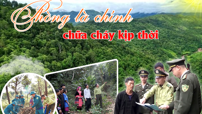 Phòng là chính, chữa cháy kịp thời