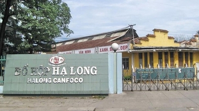 Wie hat sich die Aktie der Ha Long Canned Food Company entwickelt?