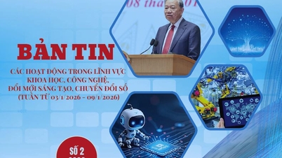 Buletin informativ despre știință și tehnologie, inovație și transformare digitală (numărul 2, 2026)