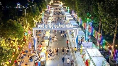 Program pilot de organizare a unei străzi pietonale de-a lungul râului Tra Khuc.