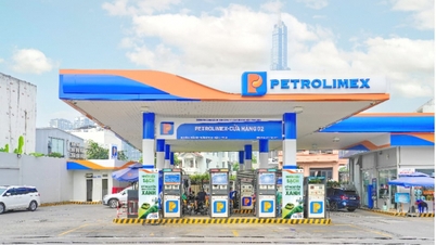 Petrolimex: Propojujeme se globálně, realizujeme aspiraci Net Zero.