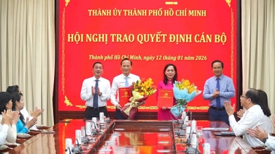 Pani Nguyen Thanh Xuan została mianowana zastępcą sekretarza Komitetu Partyjnego Komitetu Ludowego miasta Ho Chi Minh.