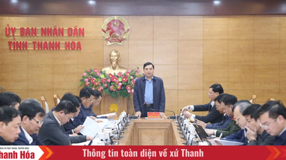 Proponer con urgencia el contenido que necesita ser actualizado y complementado para servir al ajuste de la Planificación Provincial de Thanh Hoa.