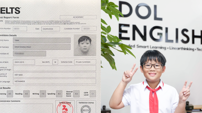 Phương pháp học tiếng Anh của bé 10 tuổi đạt 8.0 IELTS có gì đặc biệt?