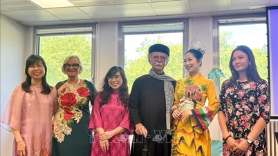 Menyebarkan kuasa lembut budaya Vietnam.
